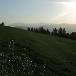 Razborca * Mislinja