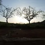 Διαμέρισμα Razborca