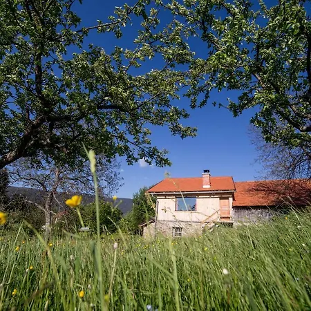 Razborca Apartmán *