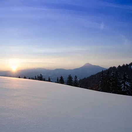 Apartma Razborca Mislinja