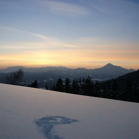 Апартаменты Razborca Mislinja