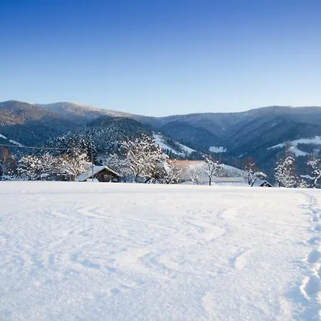 Апартаменты Razborca