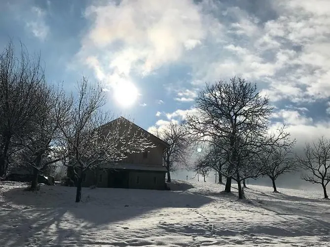 Appartement Razborca