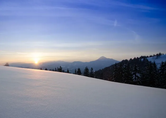 Appartement Razborca Mislinja