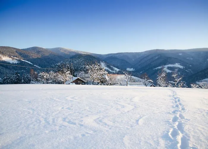 Appartement Razborca