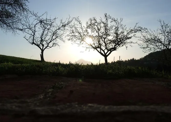 Appartamento Razborca